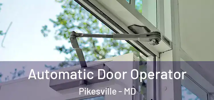 Automatic Door Operator Pikesville - MD
