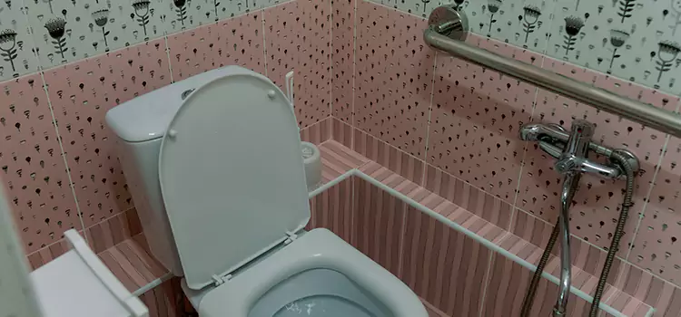 Meeting Diverse Needs With Accessible Restroom Solutions in Pikesville, MD
